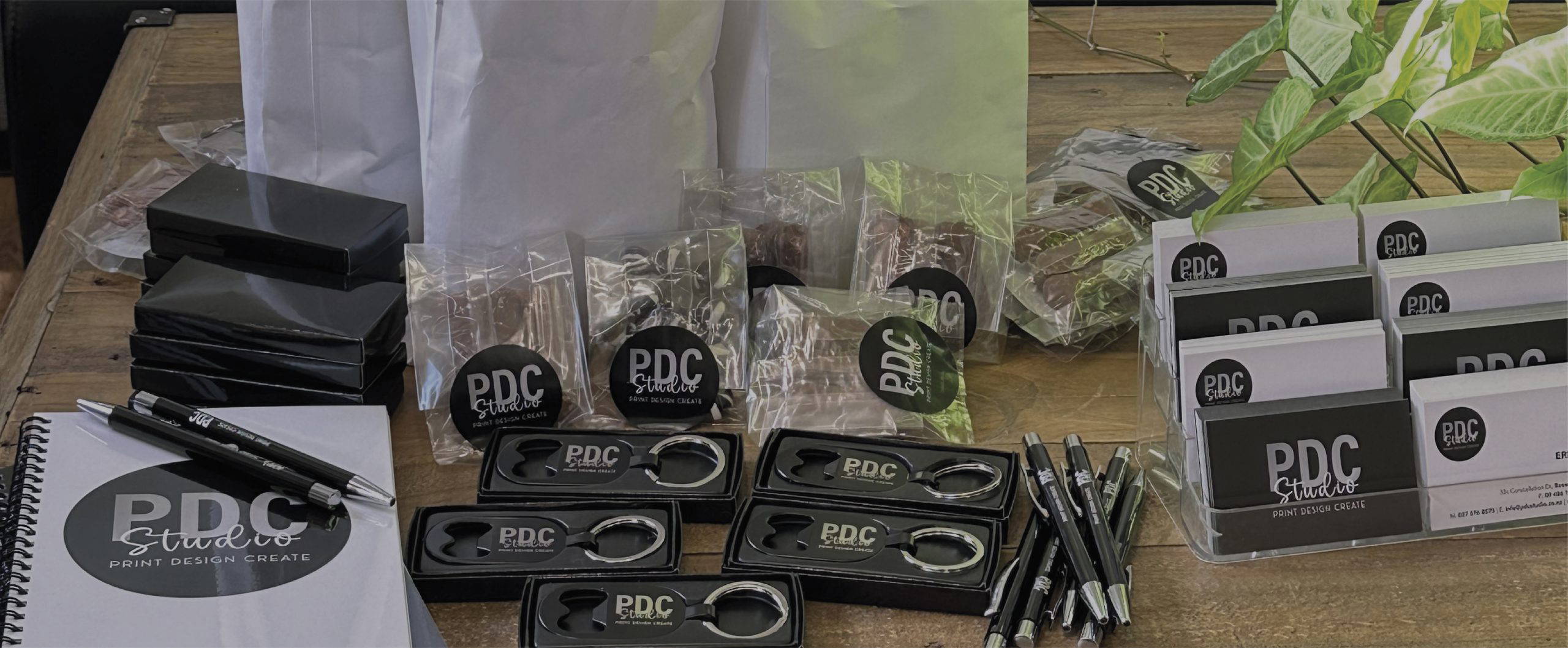 PDC Studio Branding